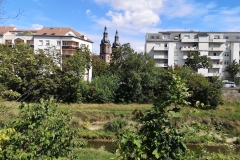 IMG_20190816_154206