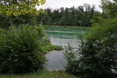 IMG_20190817_142534