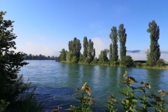 IMG_20190818_085833