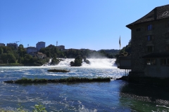IMG_20190818_110417