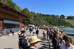 IMG_20190818_110432