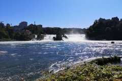 IMG_20190818_110604