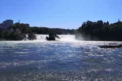 IMG_20190818_110839