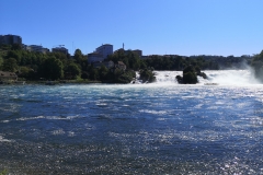 IMG_20190818_110845
