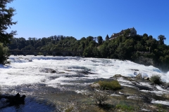 IMG_20190818_111748