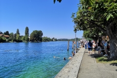 IMG_20190818_130950