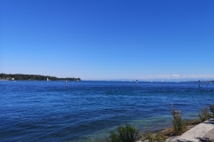 IMG_20190818_153106