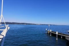IMG_20190818_160159