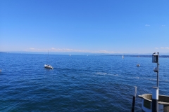 IMG_20190818_160216