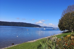 IMG_20190821_101618