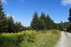 IMG_20190822_103004