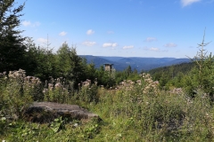 IMG_20190822_110057