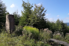 IMG_20190822_110104
