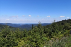 IMG_20190822_125622