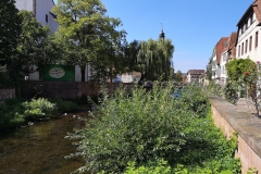 IMG_20190822_143611