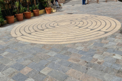 20220407_130133-960x1280