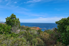 20220407_150111-1280x960