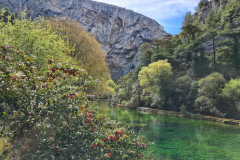 20220408_114411-1280x960