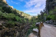 20220408_115150-1280x960