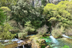 20220408_115623-1280x960