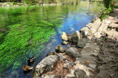 20220408_115845-1280x960