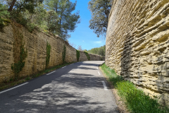 20220408_122904-960x1280