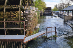 20220408_183442-960x1280