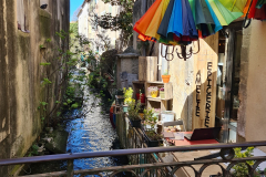 20220409_120318-960x1280