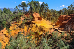 20220409_125645-1280x960