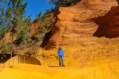 20220409_130033-960x1280