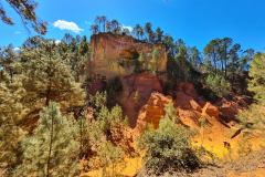 20220409_130301-1280x960