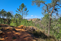 20220409_130455-1280x960