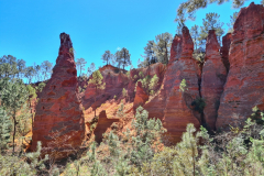 20220409_132152-1280x960