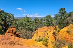 20220409_133824-1280x960