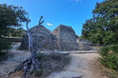 20220409_165836-1280x960