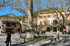 20220410_124137-960x1280