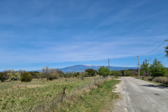 20220410_133326-1280x960