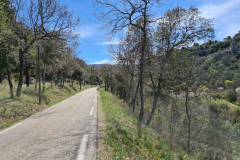 20220410_140536-1280x960