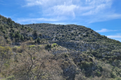 20220410_144204-1280x960