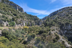 20220410_144542-1280x960