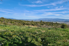 20220410_152216-1280x960