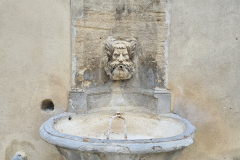 20220411_110716-960x1280