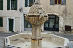 20220411_111437-960x1280