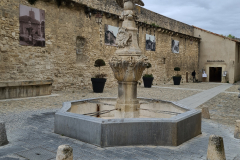 20220411_111733-960x1280