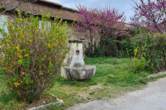 20220411_112539-1280x960