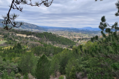 20220411_143535-1280x960