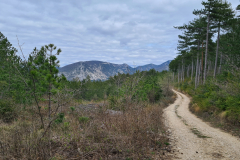 20220411_155323-1280x960