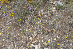 20220411_155737-1280x960