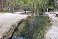 20220411_171306-1280x960