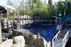 P1000165